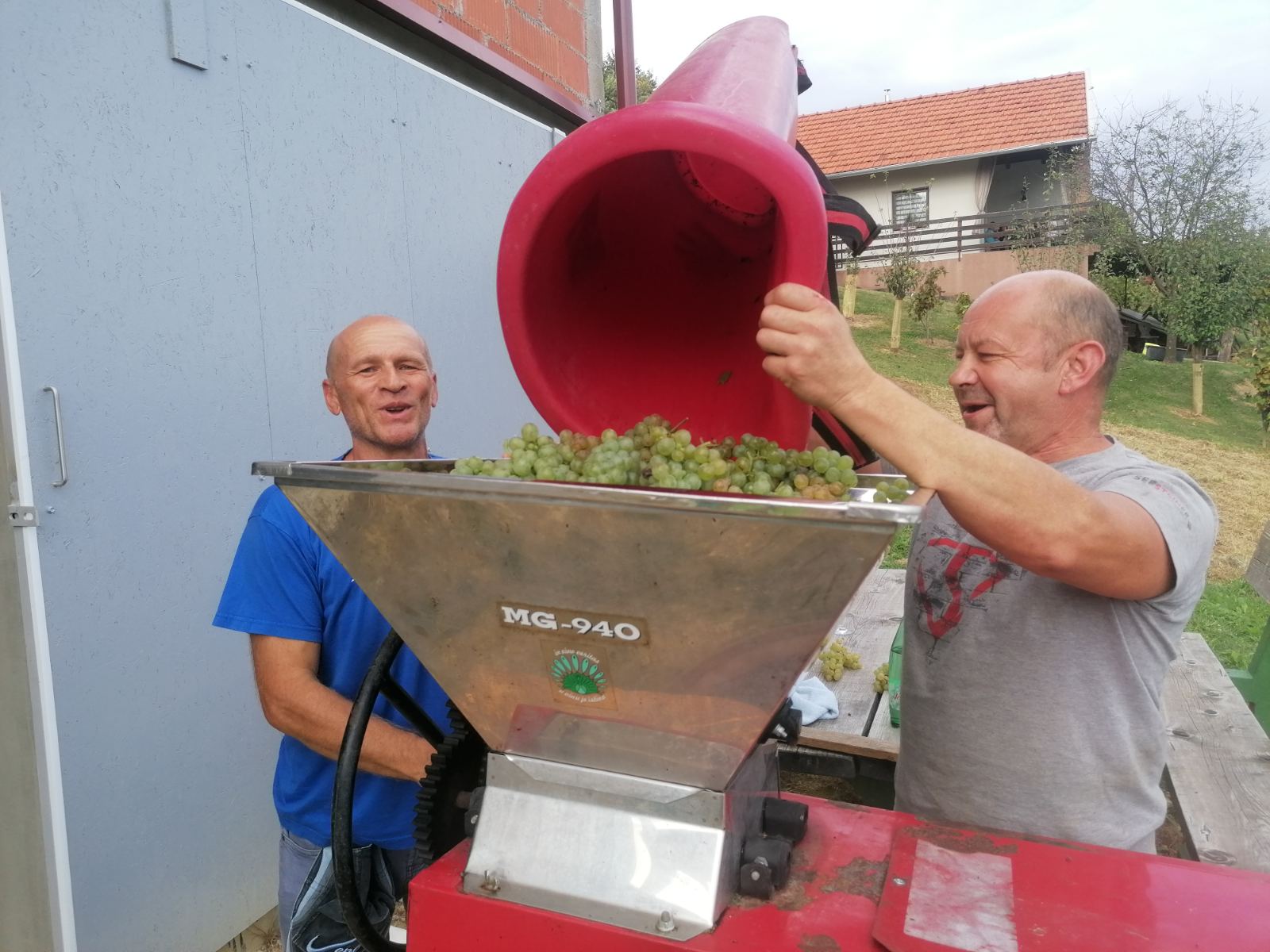 FOTO Berba na Balog bregu: Uz veselo društvo, sve se lako ‘pobere’!