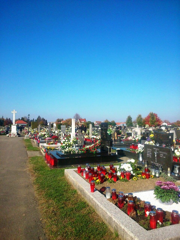 ca5eaa1923a3d8bccb74574195027ea