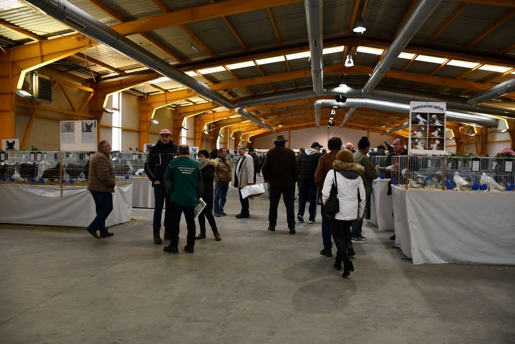 IZLOŽBA MALIH ŽIVOTINJA Izloženo preko tisuću malih životinja vrhunskih uzgajivača iz Hrvatske, ali i šire IZLOŽBA MALIH ŽIVOTINJA Izloženo preko tisuću malih životinja vrhunskih uzgajivača iz Hrvatske, ali i šire