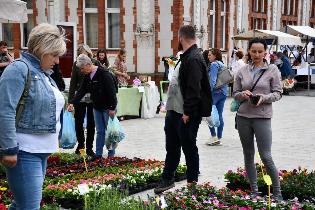 Festival jagoda, cvijeća i tradicije