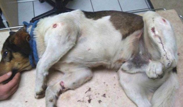 untitledyoshiromsko1711051