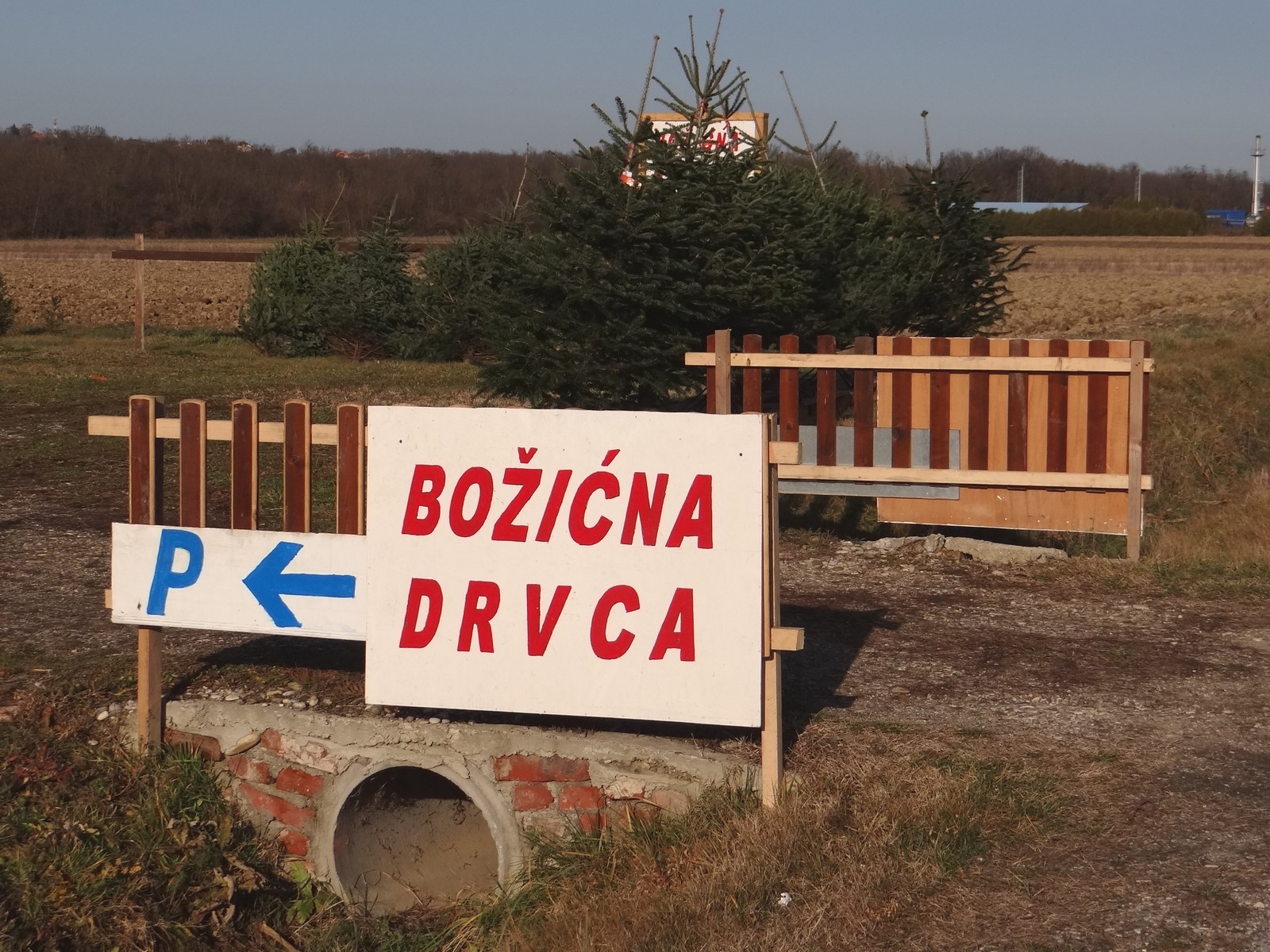 Provjerili smo cijene božićnih drvaca u Međimurju: Ponuda iz godine u godinu sve bogatija Provjerili smo cijene božićnih drvaca u Međimurju: Ponuda iz godine u godinu sve bogatija