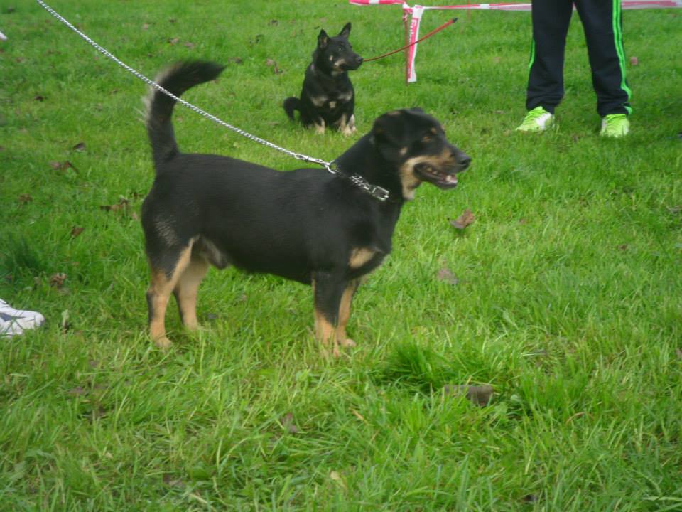 1043856332399943111663431123441