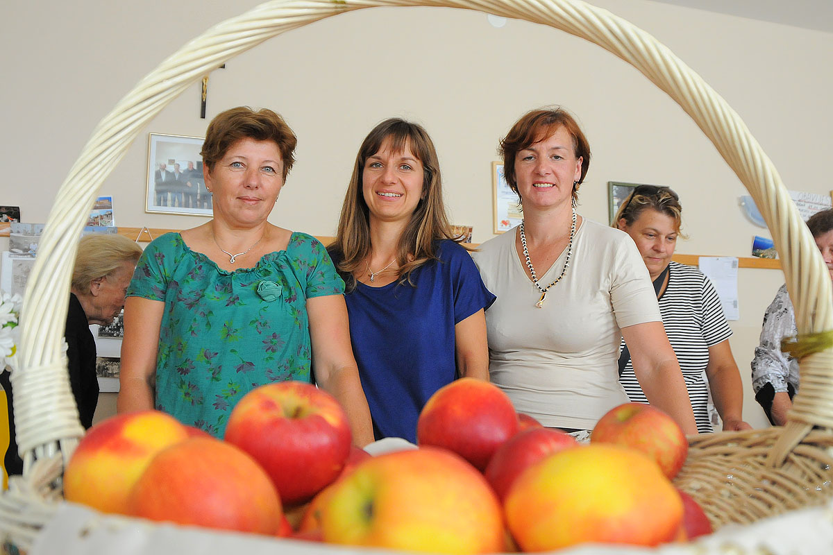 25319826wdsc3367625097