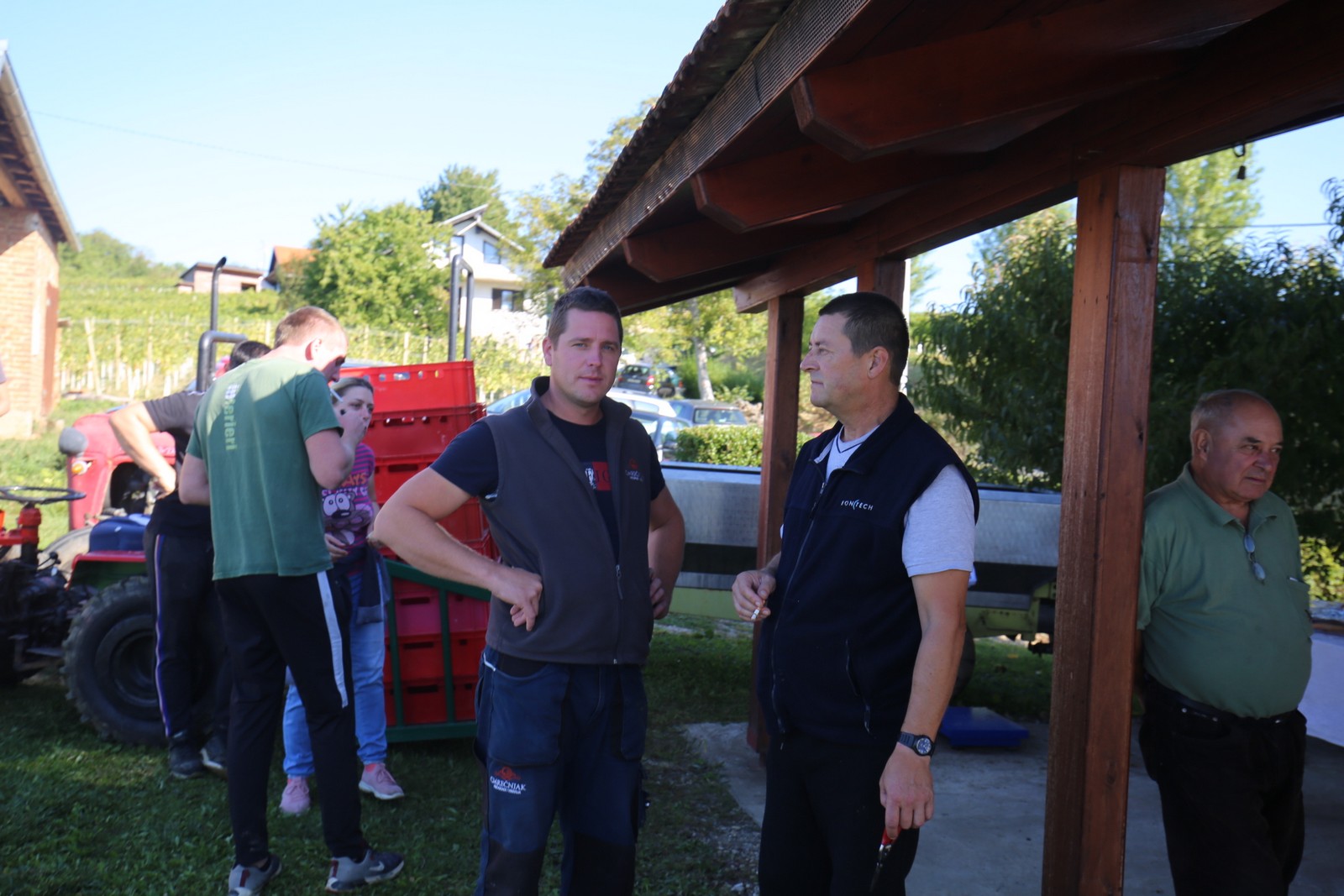 ‘Radio gorice za Katružu’: Tradicionalna humana berba po međimurskim bregima