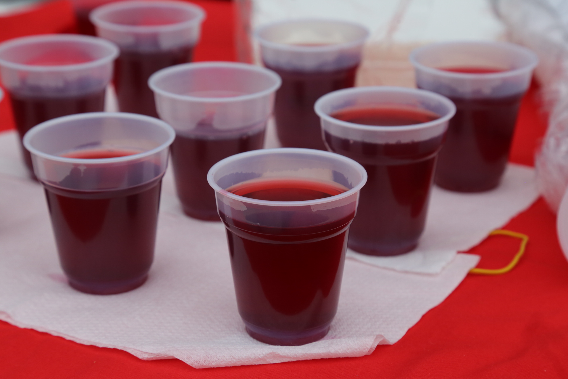 Pjesma i delicije budućih hotelijera u središtu Čakovca