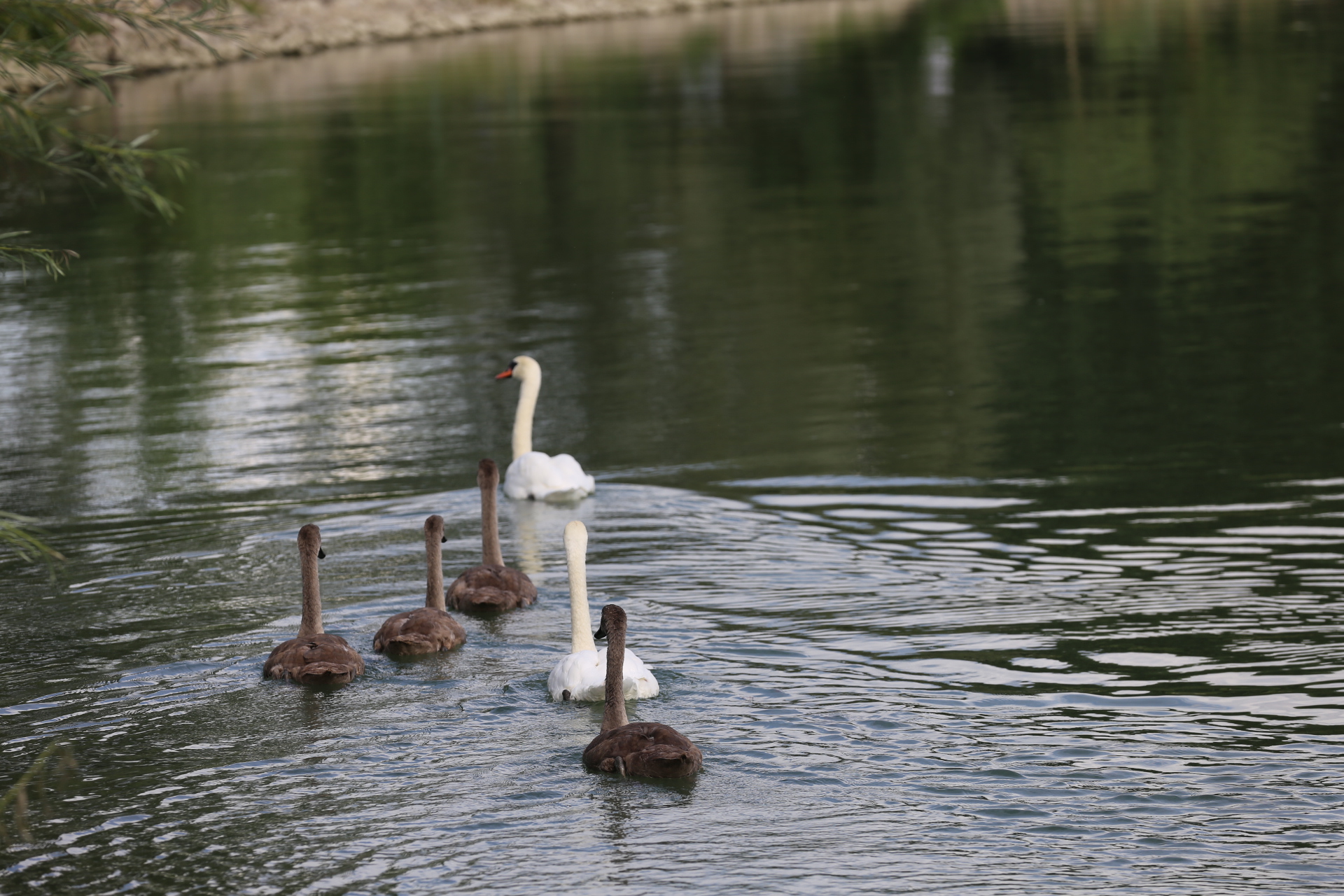 Klikom po Marini (29.8.2021.)