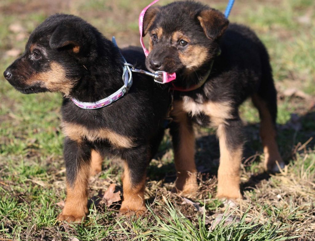 ee4cfd680755b06736972de920882b9