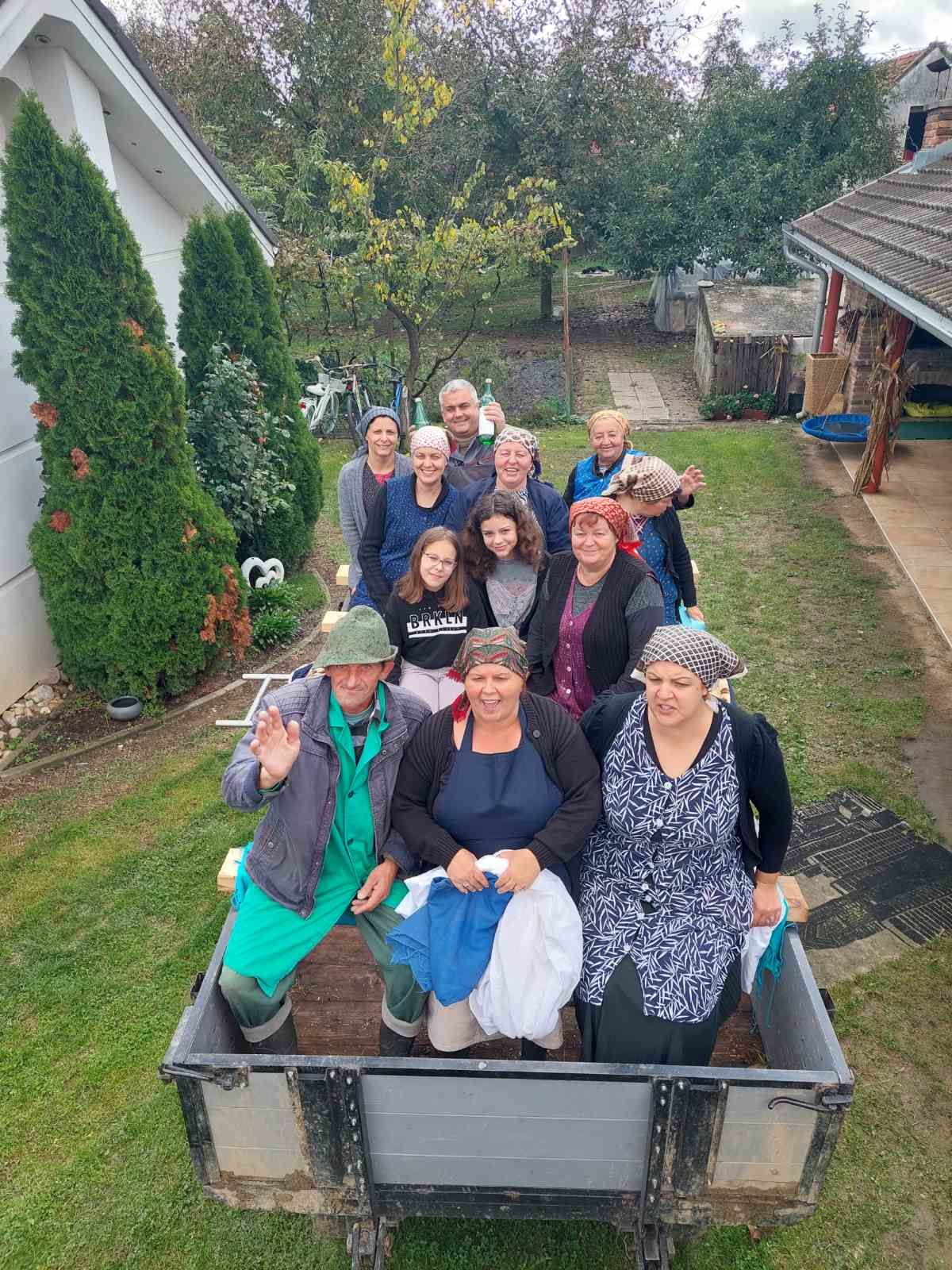 Branje kukuruza u Domašincu