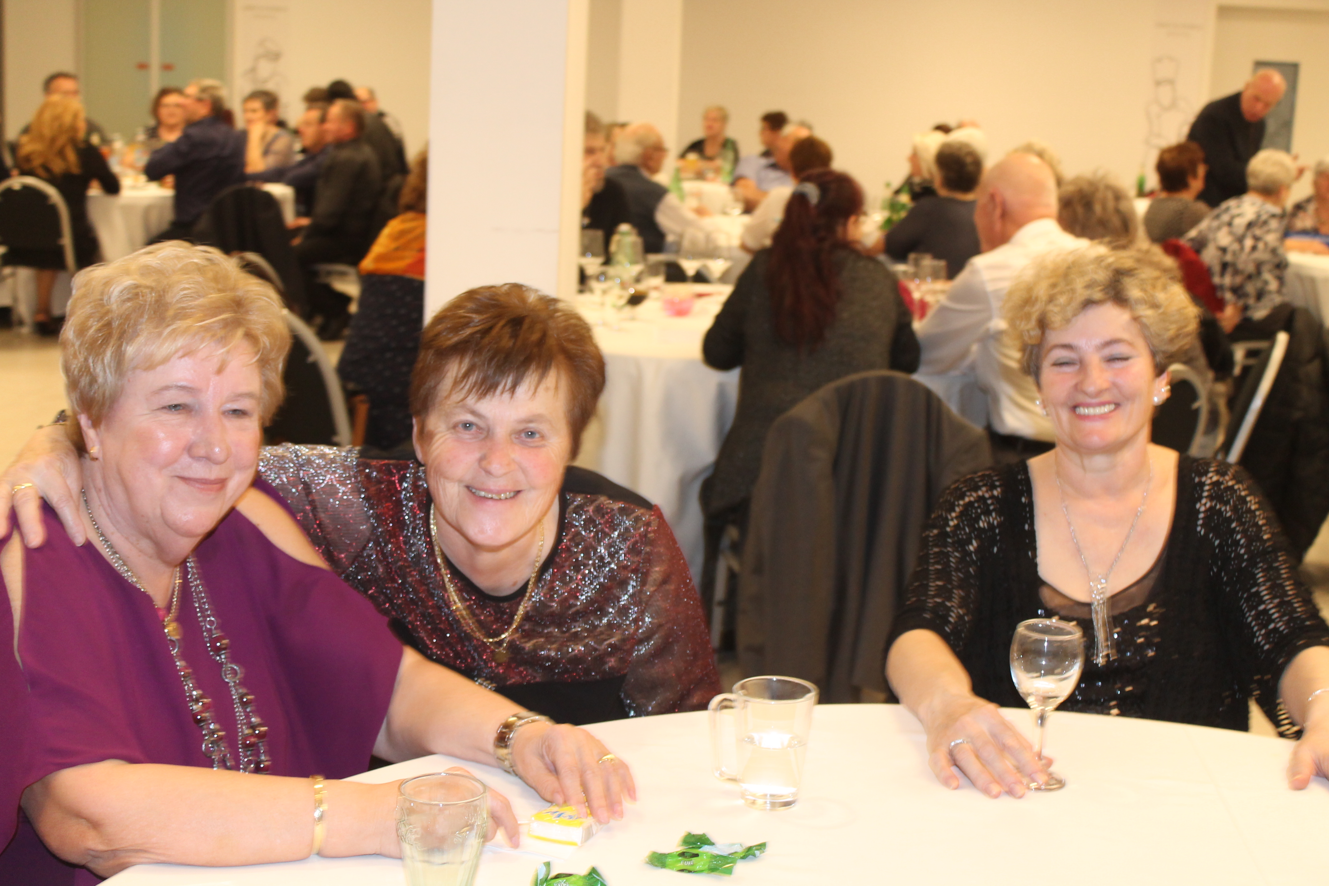 FOTO Međimurski samci znaju prirediti odličnu zabavu, a to su pokazali i na tradicionalnom plesu i druženju