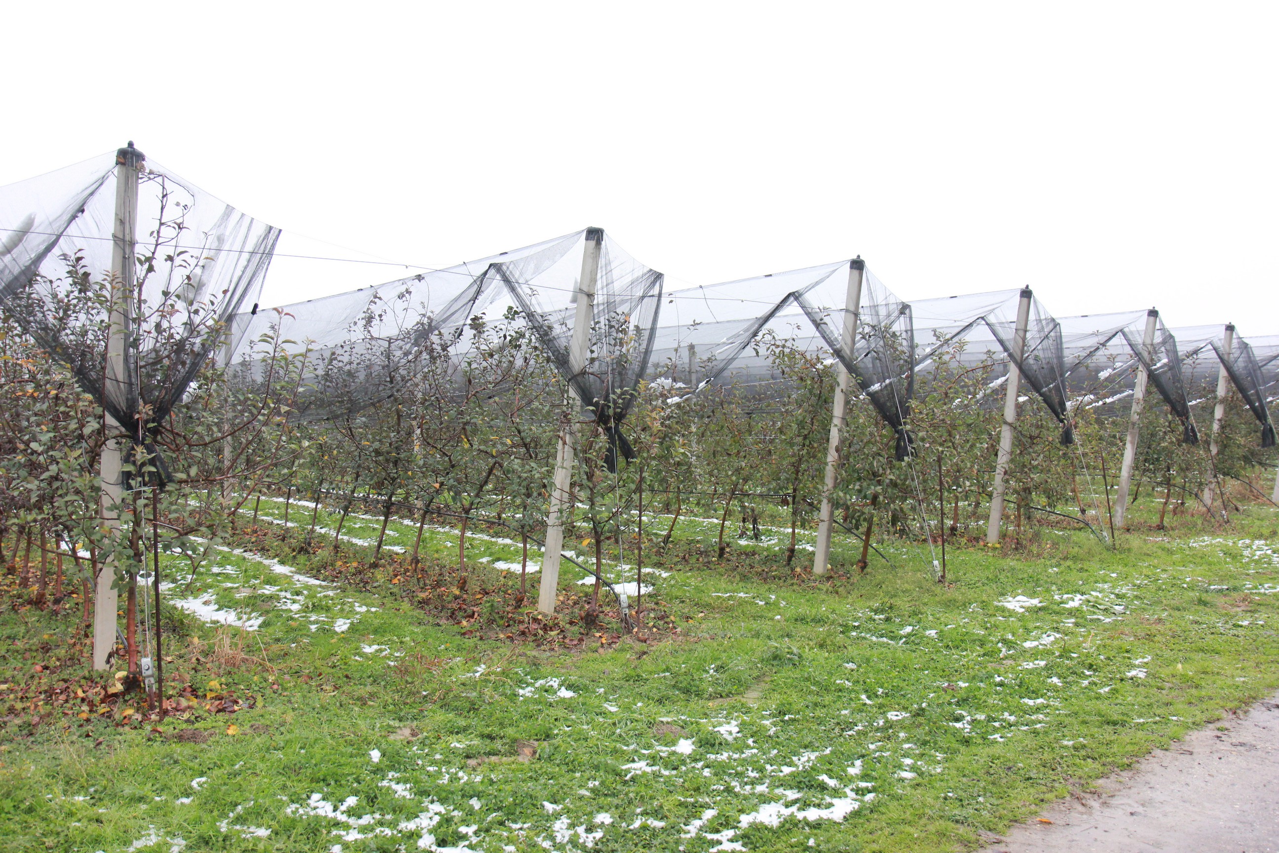 Gospodarska škola Čakovec otvorila pogon za izradu soka!