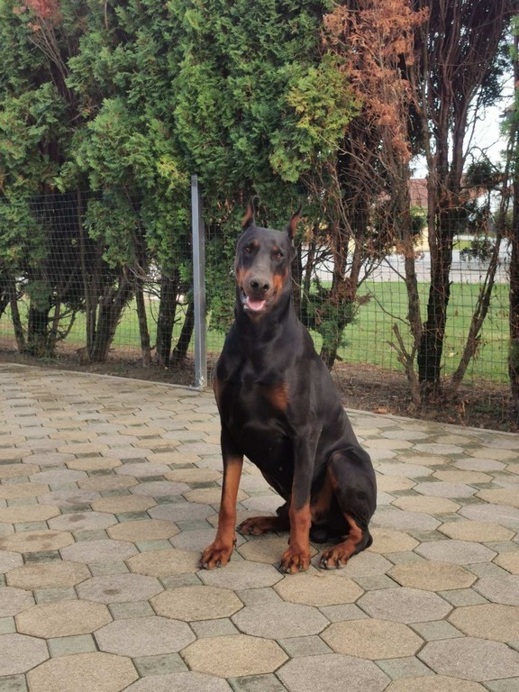 PATRIK MAGDALENIĆ Izrađuje unikatne 3D slike koje plijene pažnju po društvenim mrežama