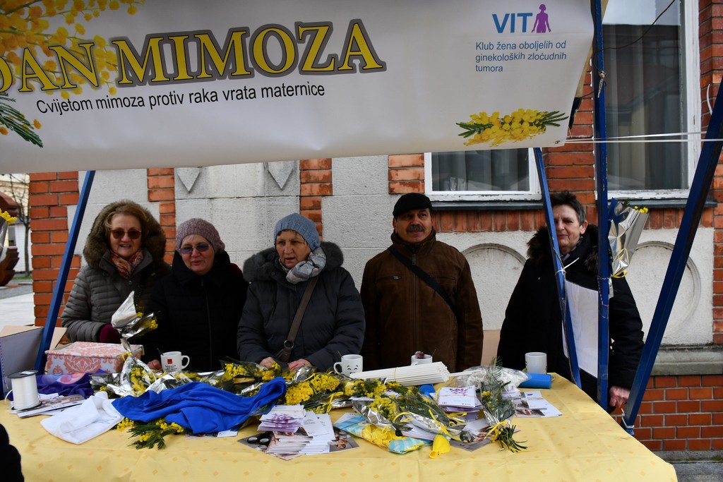Dan mimoza u Čakovcu