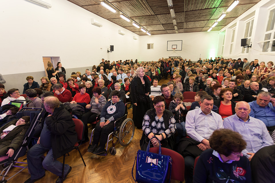 Humanitarni koncert u Gornjem Mihaljevcu