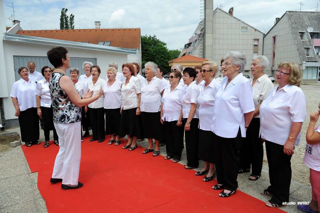 295912193vipro44372683