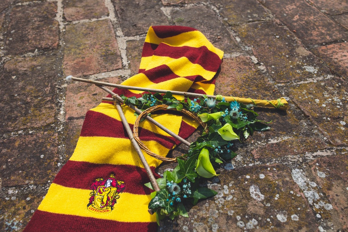 Harry Potter vječanje Harry Potter vječanje