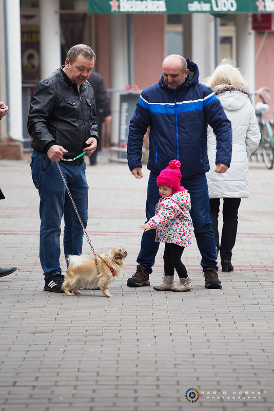 Klikom po Prelogu (24.11.2018.)