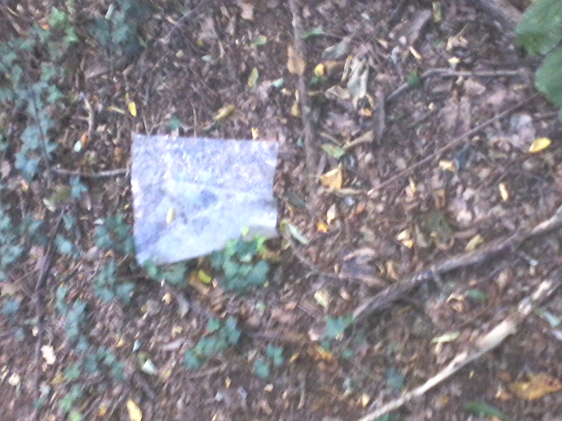 fotografija0033744956