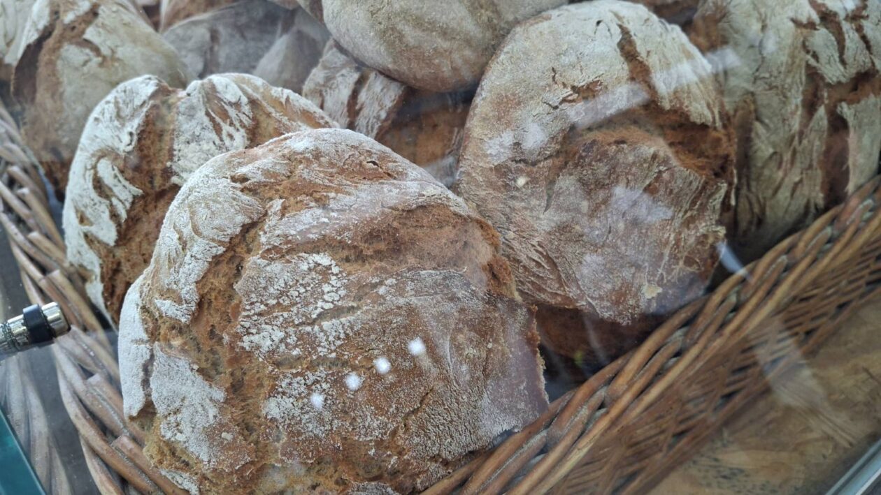 eko sajam štrigova (19) eko sajam štrigova (19)