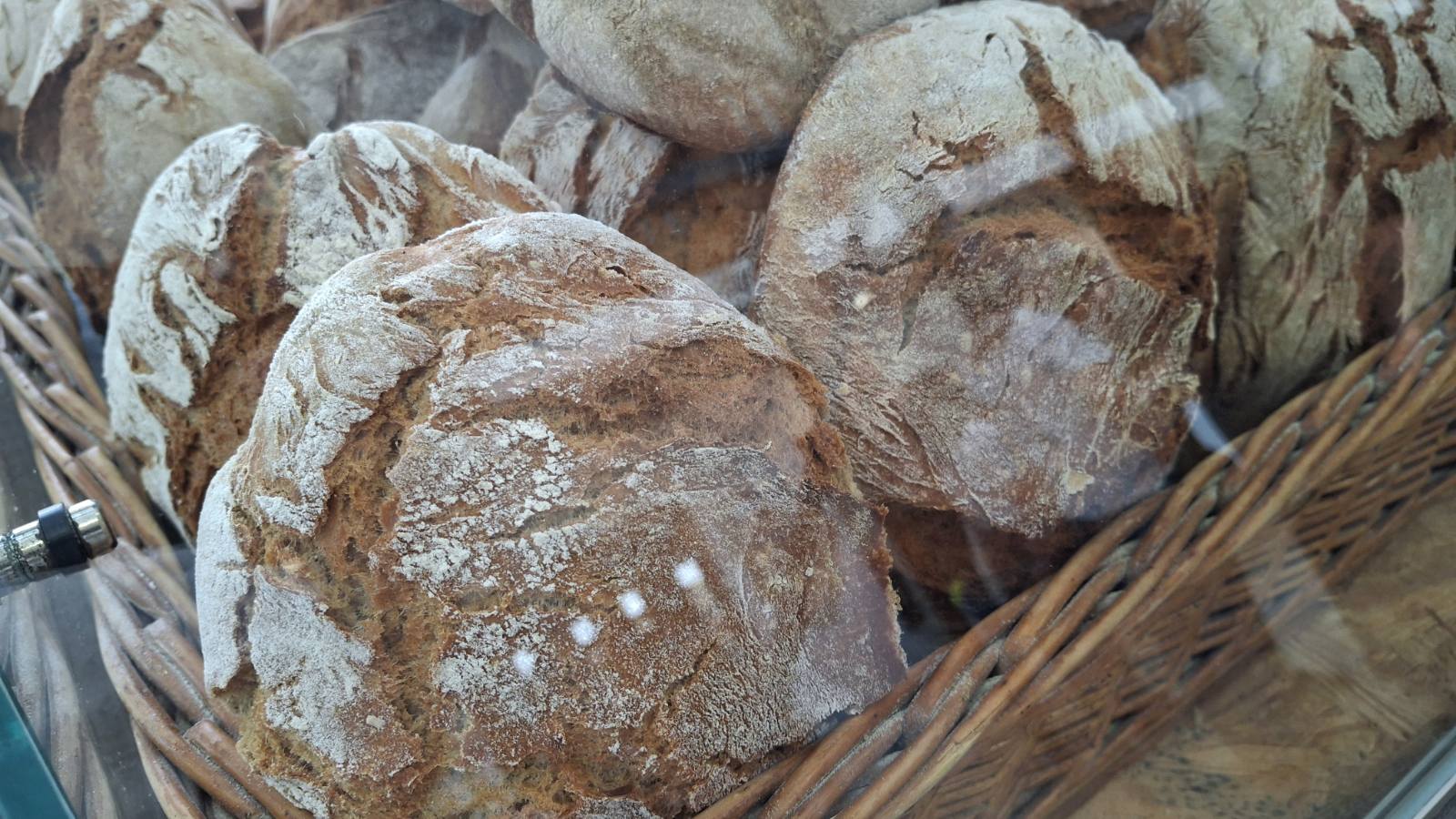 eko sajam štrigova (19) eko sajam štrigova (19)