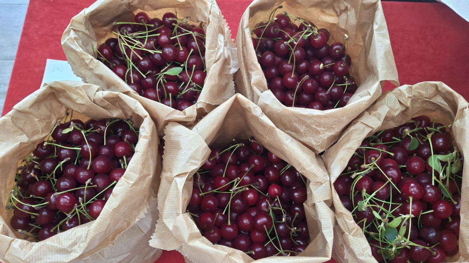 eko sajam štrigova (2) eko sajam štrigova (2)