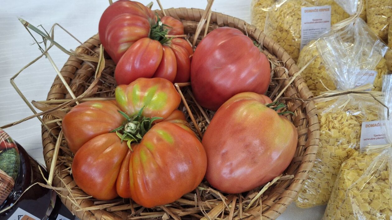 eko sajam štrigova (20) eko sajam štrigova (20)