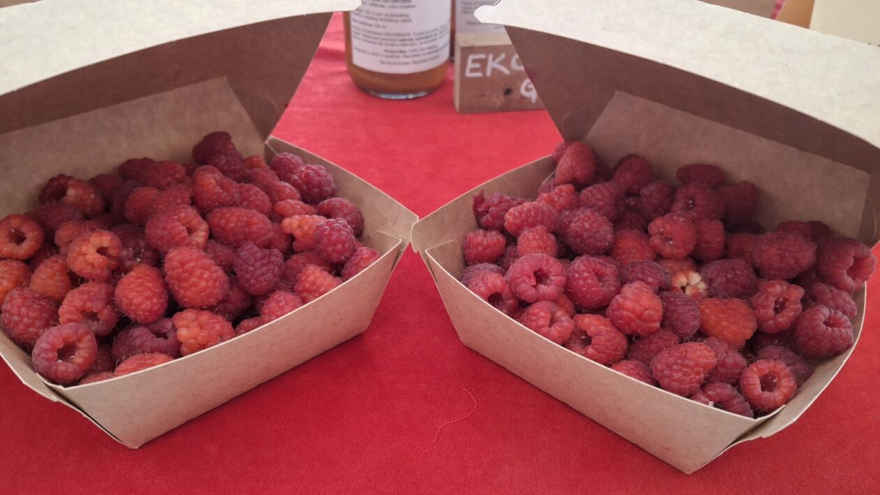 eko sajam štrigova (3) eko sajam štrigova (3)