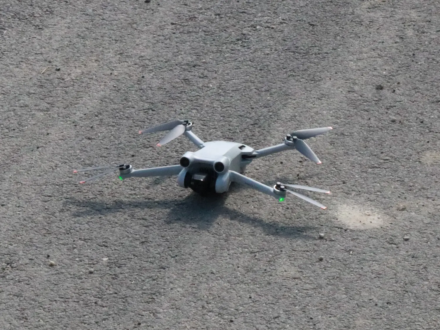 elktrična ptica,dron,belica,gardinovec (3) elktrična ptica,dron,belica,gardinovec (3)