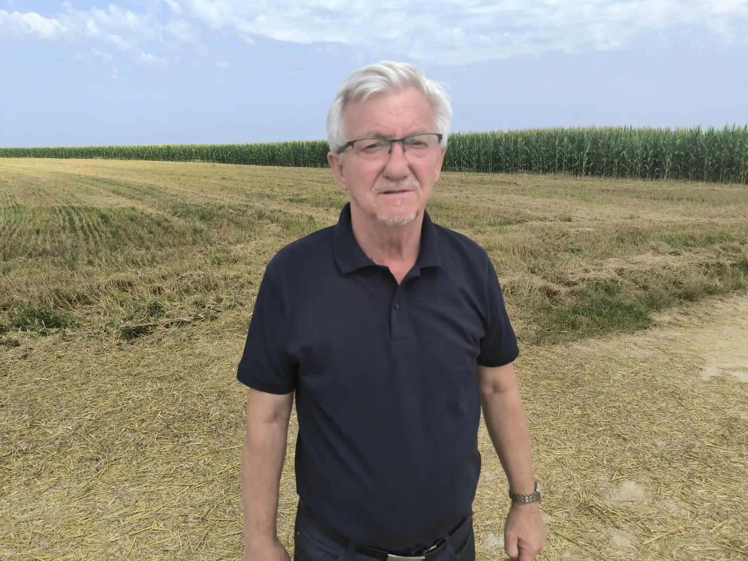 elktrična ptica,dron,belica,gardinovec (4) elktrična ptica,dron,belica,gardinovec (4)