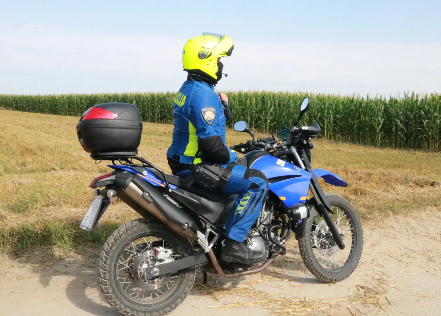 elktrična ptica,dron,belica,gardinovec (8) elktrična ptica,dron,belica,gardinovec (8)