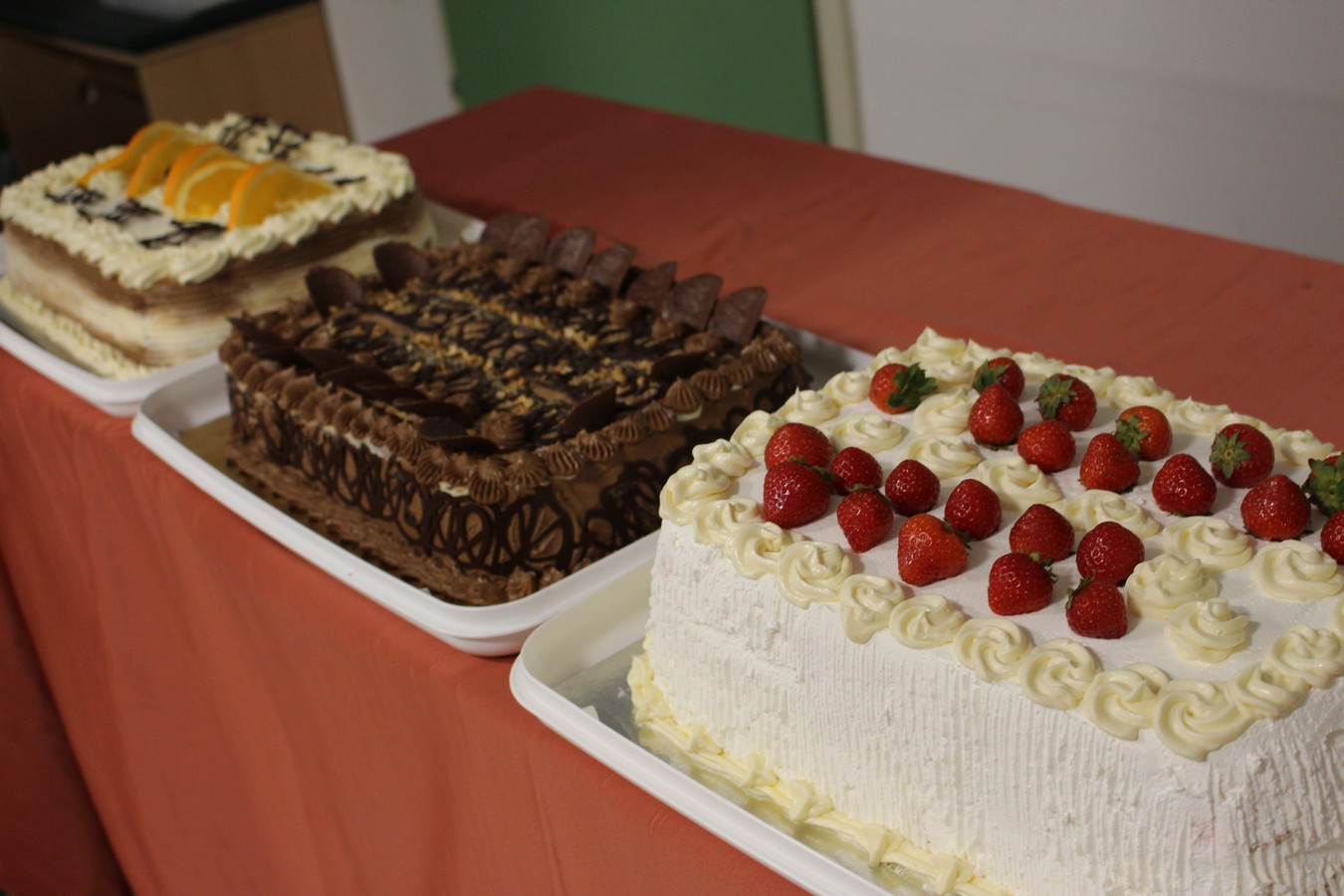 etš čakovec Bosiljka Vinković Kukolić i profesori Zita Lajtman i Davorin Zorko (54)