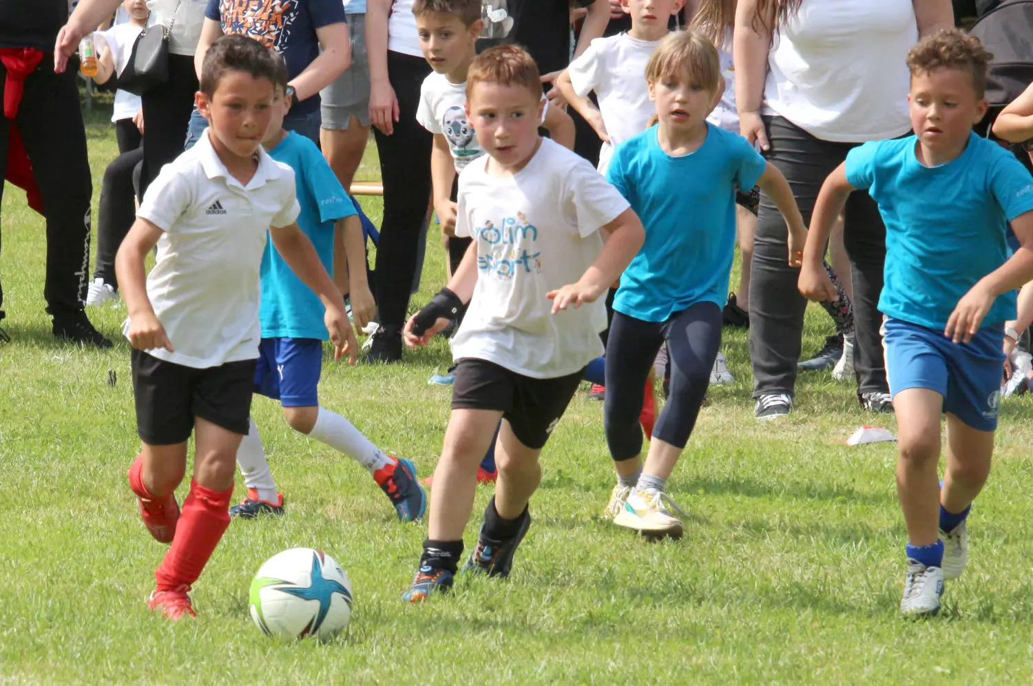 eurokindergarten cup 2024 (1) eurokindergarten cup 2024 (1)