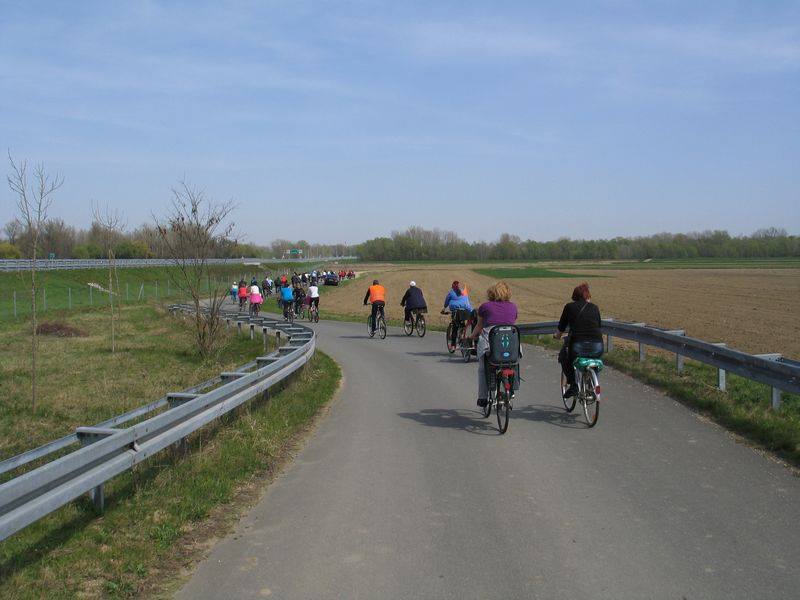 1241807810204634844910135511788