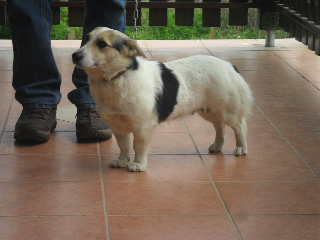 fotografija00002141883