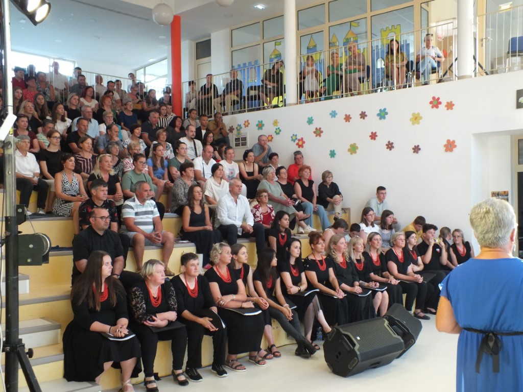 Image 5833231 (auto)