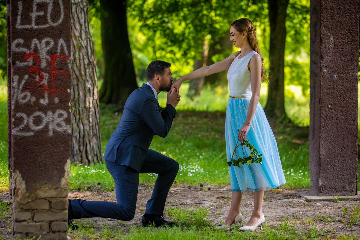 Harry Potter vječanje Harry Potter vječanje