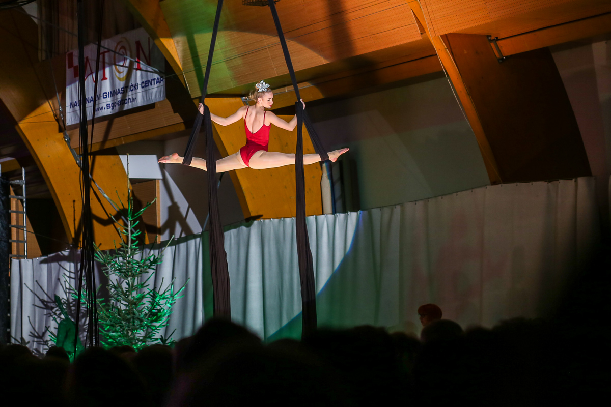 Božićni koncert zbora Josip Vrhovski iz Nedelišća