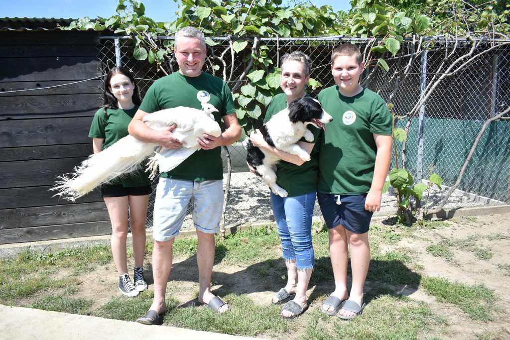 Denis Srnec – paunovi