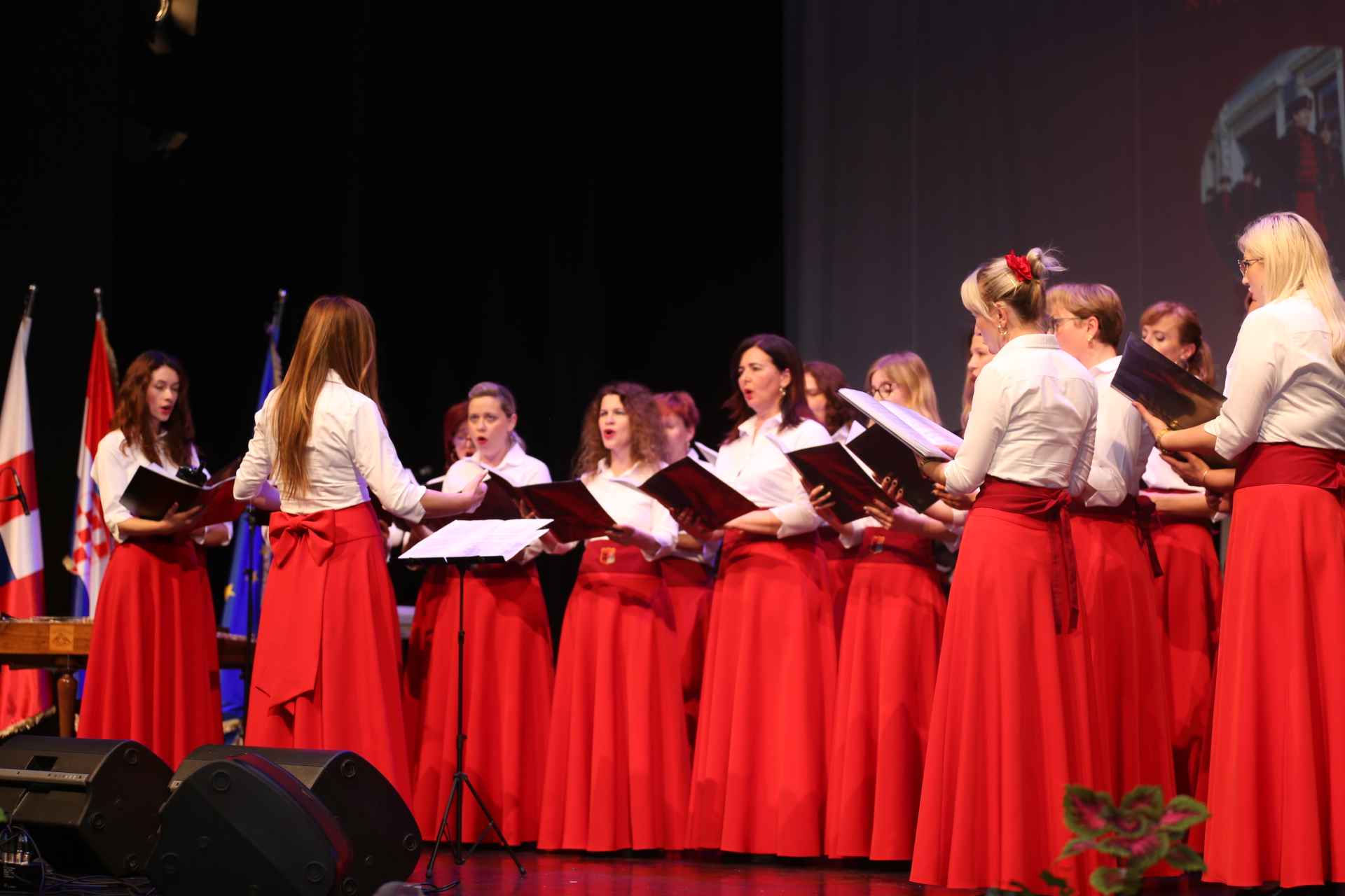 20 godina zrinske garde 20 godina zrinske garde