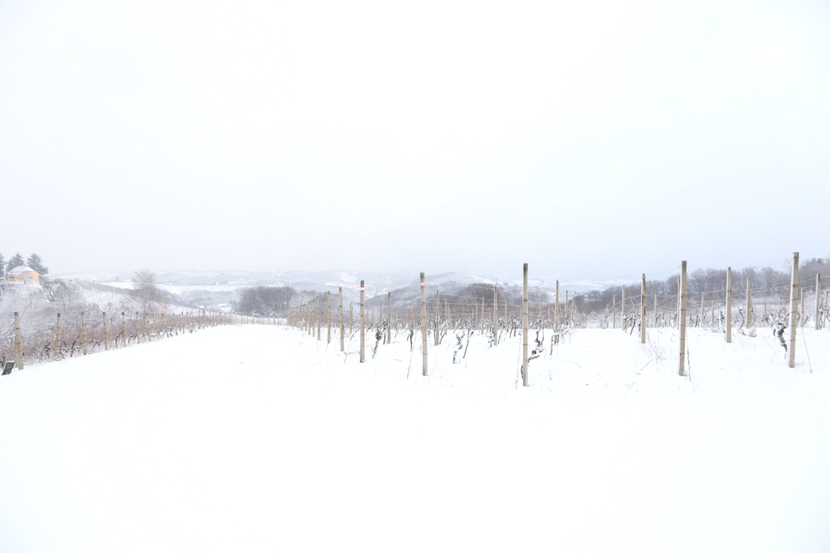 Mađerkin breg pokriven snijegom