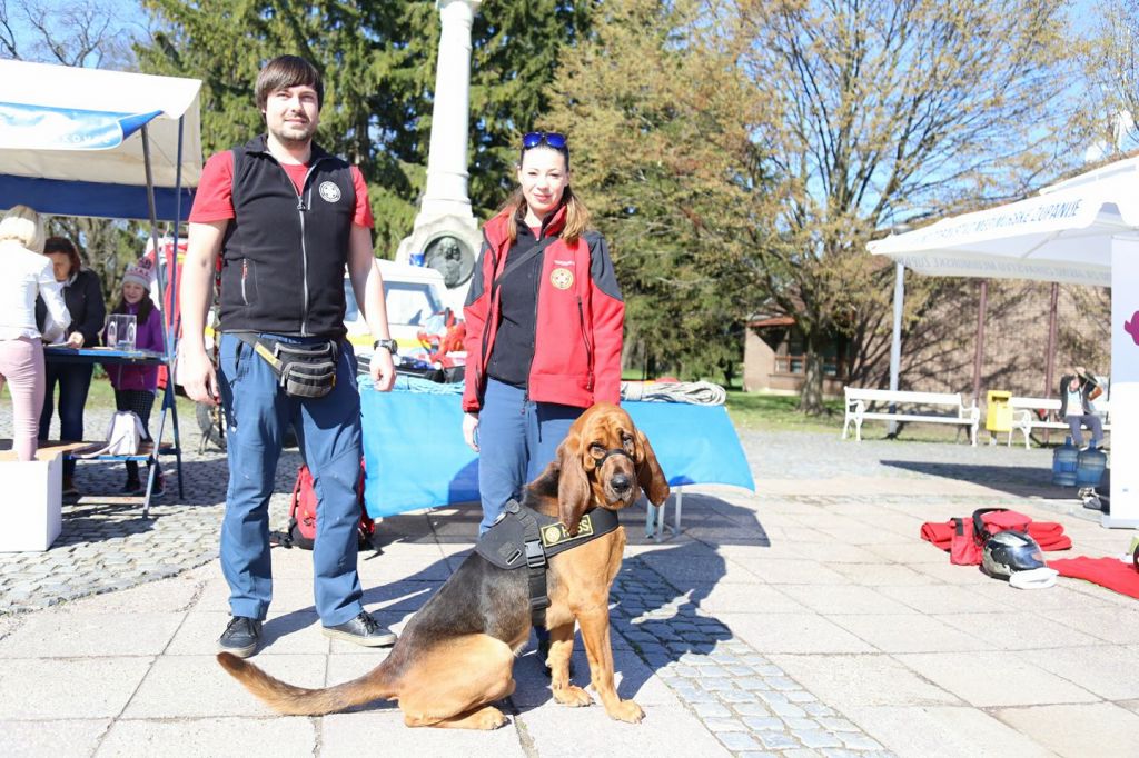 2979268010214739842026626593351