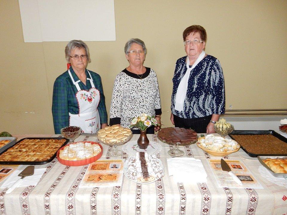 Susret umirovljenika Domašinca i Kotoribe