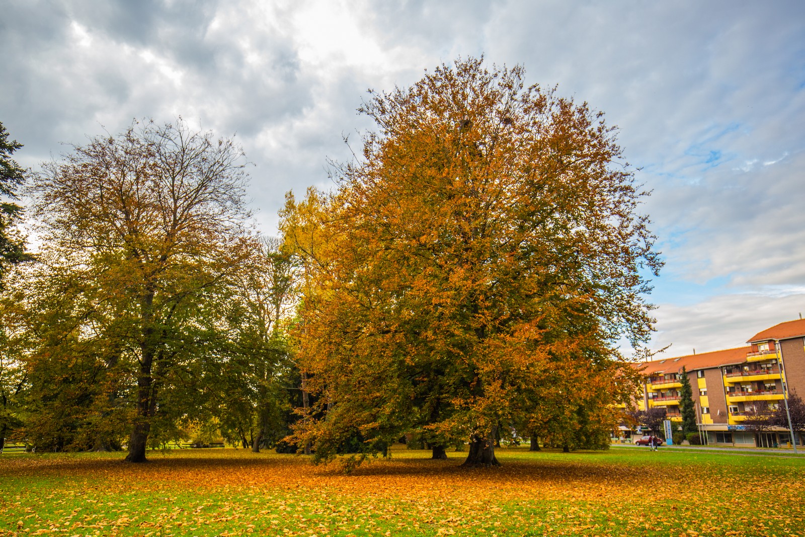 Čarobna jesen: Naša Miroslava Novak prošetala je čakovečkim parkom i snimila šarenilo jesenskih boja. Predivno, zar ne? (y) :-)