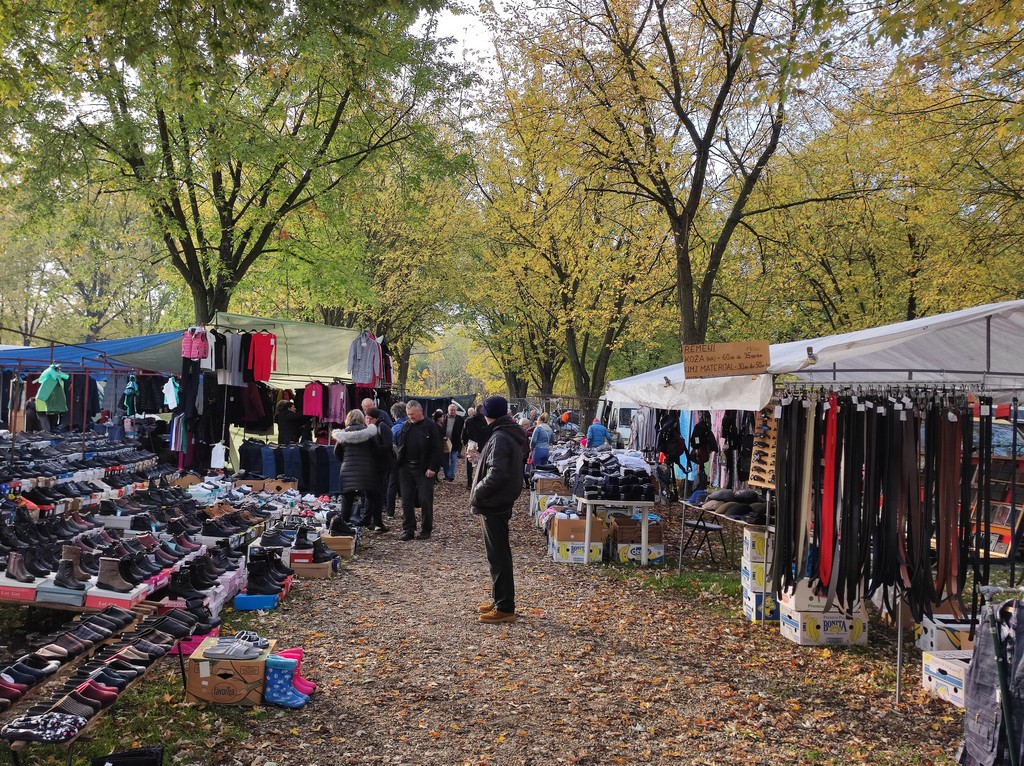 SAJAM SRIJEDOM Jeste li već probali meksički krastavac ili čajot?