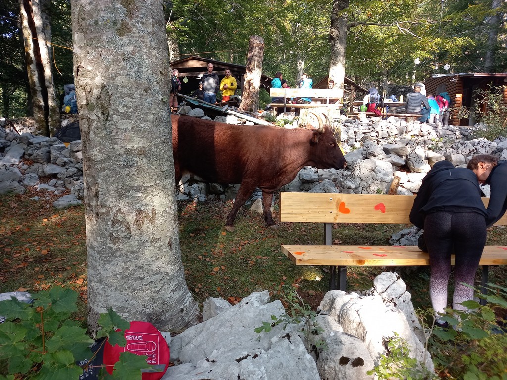 DAMIR BOGDAN U POTHVATU HIGHLANDER Devet žuljeva u četiri dana
