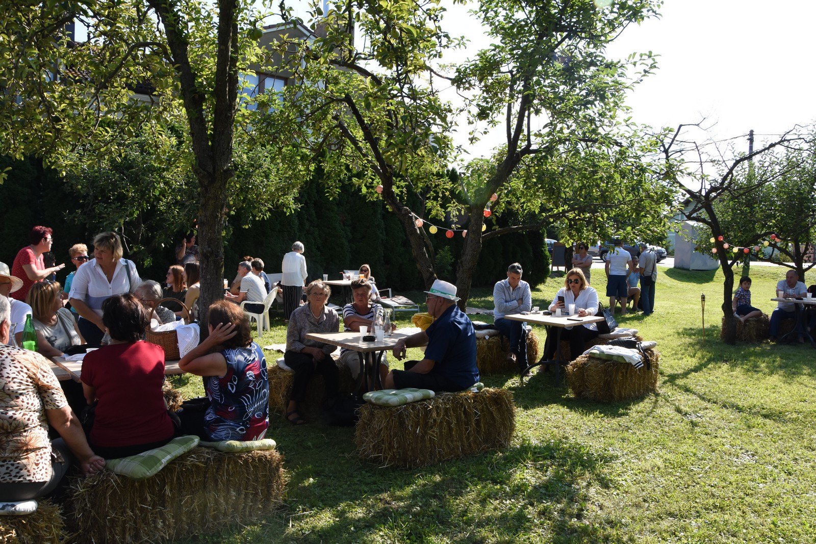 Mamičina žetva u Pušćinama