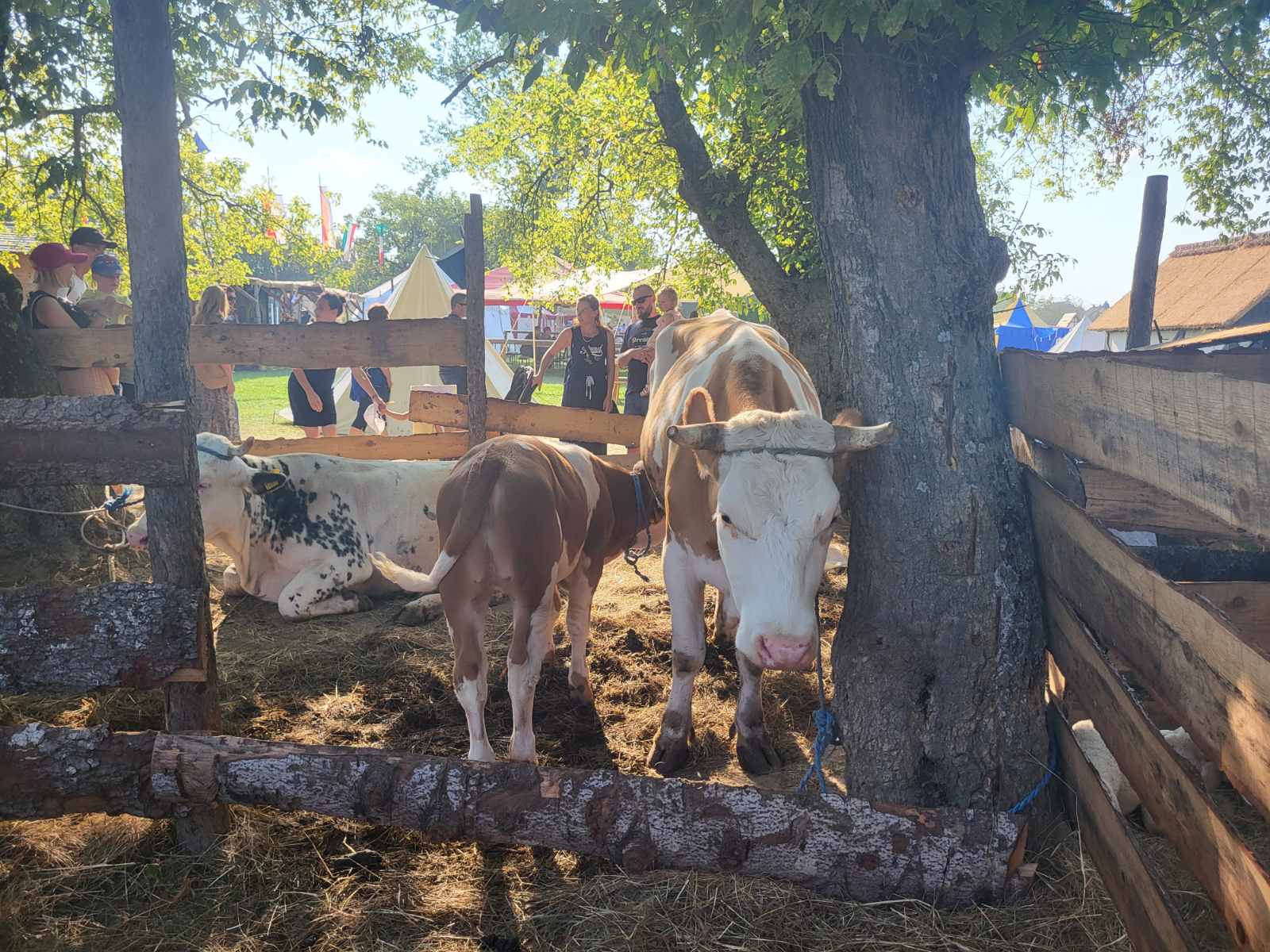 NA KOPRVNIČKIM BEDEMIMA Renesansni festival i ove godine privukao mnoštvo posjetitelja NA KOPRVNIČKIM BEDEMIMA Renesansni festival i ove godine privukao mnoštvo posjetitelja