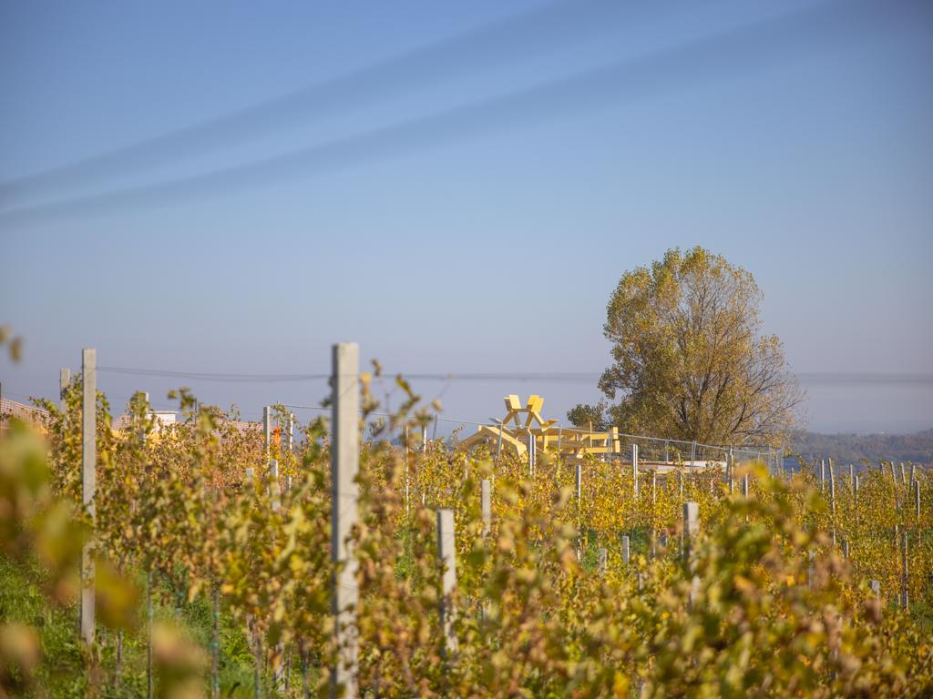 Image 5118930 (auto) Image 5118930 (auto)