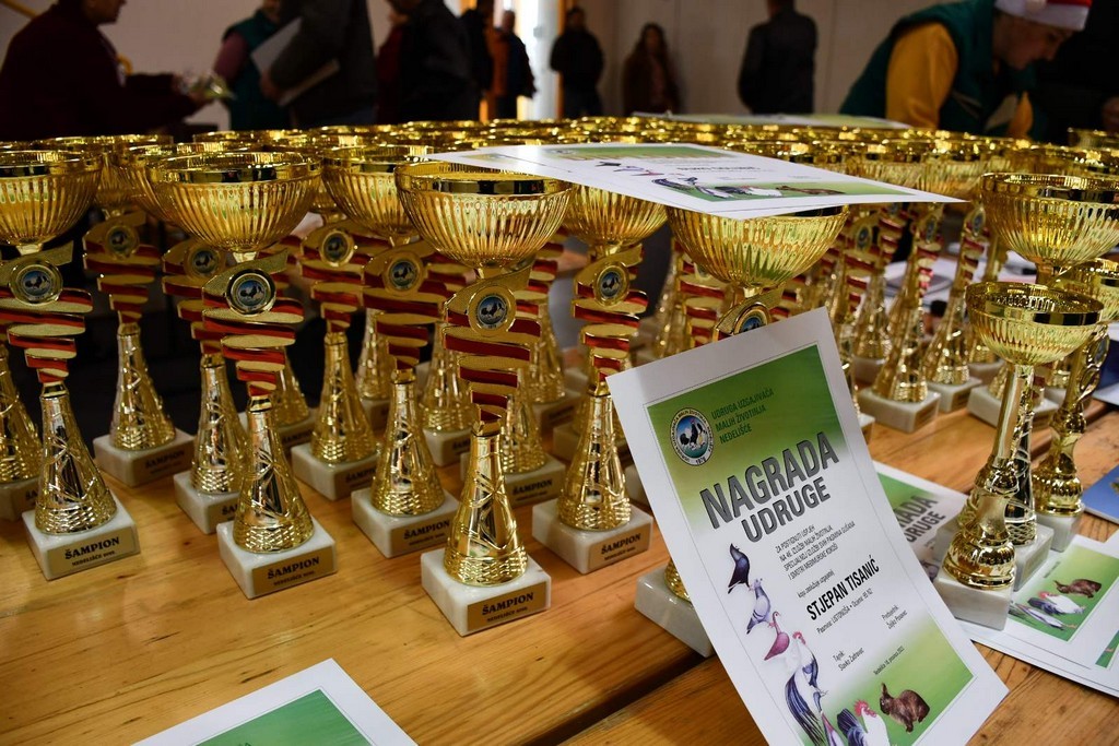 IZLOŽBA MALIH ŽIVOTINJA Izloženo preko tisuću malih životinja vrhunskih uzgajivača iz Hrvatske, ali i šire IZLOŽBA MALIH ŽIVOTINJA Izloženo preko tisuću malih životinja vrhunskih uzgajivača iz Hrvatske, ali i šire