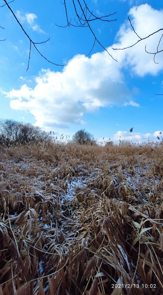 Zvonimir Habuš iz Kotoribe očarava fotografijama netaknute prirode